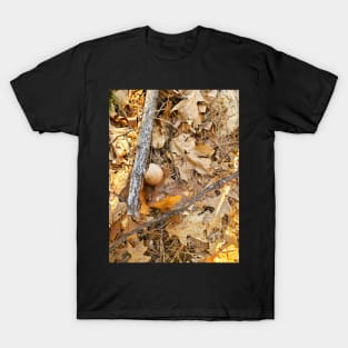 mushroom ball T-Shirt